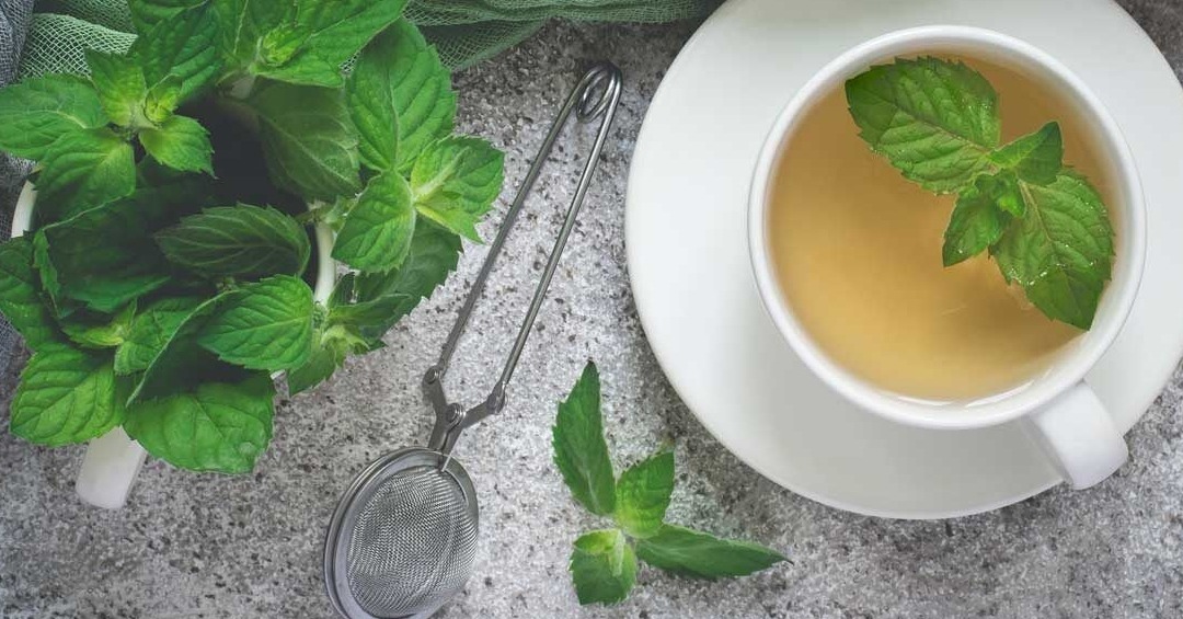 menthe poivrée